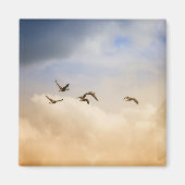 Vogelgrippe im Flug Magnet (Vorne)