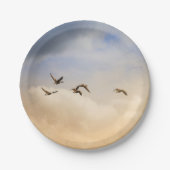 Vogelgrippe im Flug Pappteller (Vorderseite)