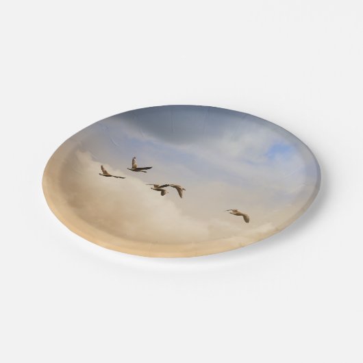 Vogelgrippe im Flug Pappteller (Schrägansicht)