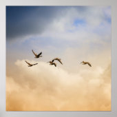 Vogelgrippe im Flug Poster (Vorne)