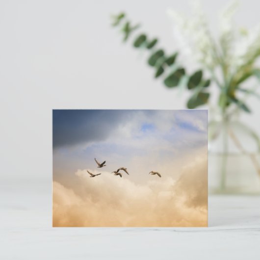 Vogelgrippe im Flug Postkarte (Stehend Vorderseite)