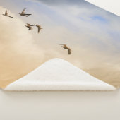 Vogelgrippe im Flug Sherpadecke (3/4)