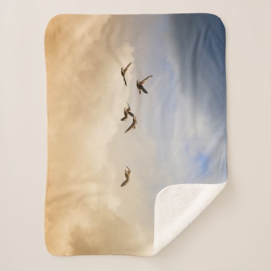 Vogelgrippe im Flug Sherpadecke (Vorderseite)