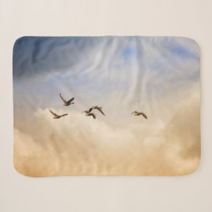 Vogelgrippe im Flug Sherpadecke