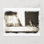 Vogelgrippe in Sepia Postkarte (Vorderseite)