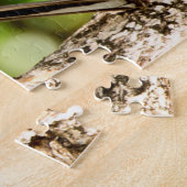 Vogelgrippe. Puzzle (Seite)