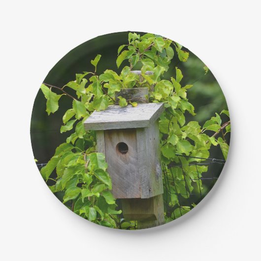 Vogelhauerpapierplatte Pappteller (Vorderseite)