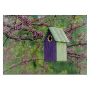 Vogelhaus auf einem Judasbaum Schneidebrett