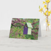 Vogelhaus auf einem Redbud-Baum Karte (Gelbe Blume)