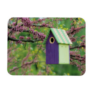 Vogelhaus auf einem Redbud-Baum Magnet