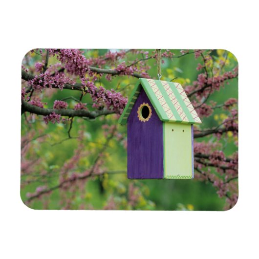 Vogelhaus auf einem Redbud Baum Magnet (Horizontal)
