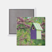 Vogelhaus auf einem Redbud Baum Magnet (Vorderseite/Rückseite)