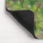 Vogelhaus auf einem Redbud-Baum Mousepad (Ecke)