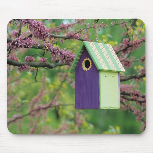 Vogelhaus auf einem Redbud-Baum Mousepad (Vorne)