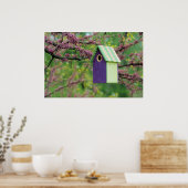 Vogelhaus auf einem Redbud Baum Poster (Küche)