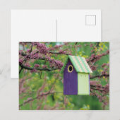 Vogelhaus auf einem Redbud Baum Postkarte (Vorne/Hinten)