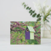 Vogelhaus auf einem Redbud Baum Postkarte (Stehend Vorderseite)