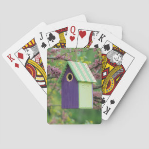 Vogelhaus auf einem Redbud-Baum Spielkarten