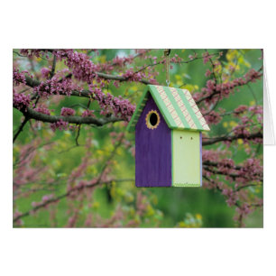 Vogelhaus auf einem Rotknospenbaum