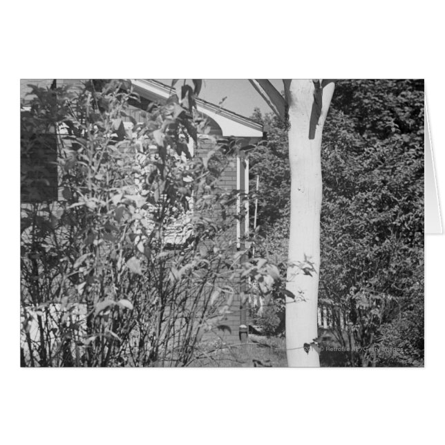 Vogelhaus im Garten (Vorderseite (Horizontal))