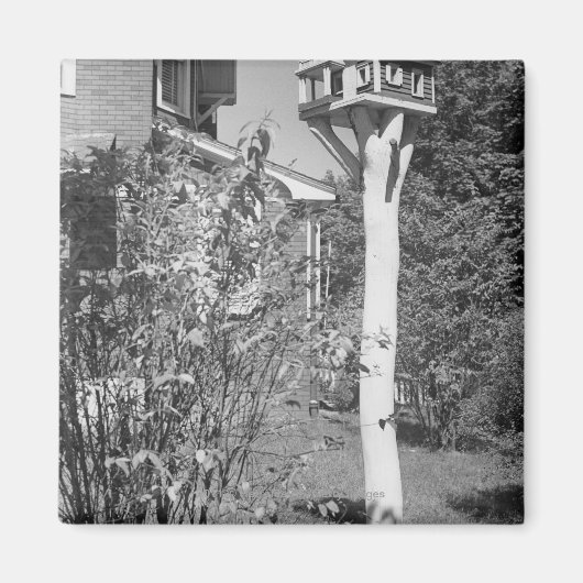 Vogelhaus im Garten Magnet (Vorne)