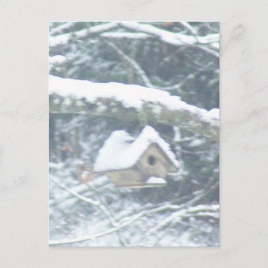 Vogelhaus im Schnee Postkarte (Vorderseite)