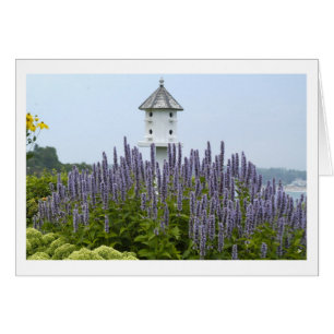 Vogelhaus in Maine