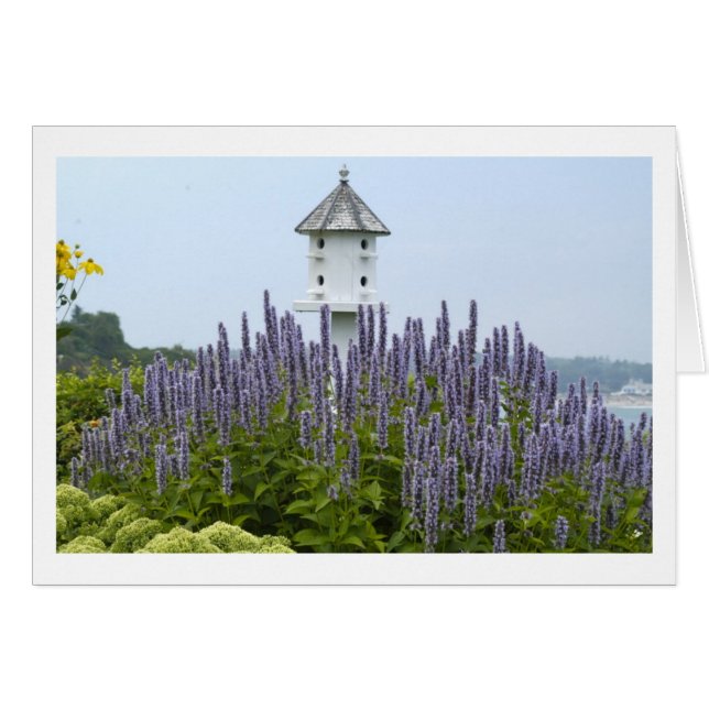 Vogelhaus in Maine (Vorderseite (Horizontal))