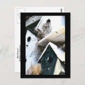 Vogelhäuser Postkarte (Vorne/Hinten)