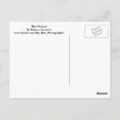 Vogelhäuser Postkarte (Rückseite)