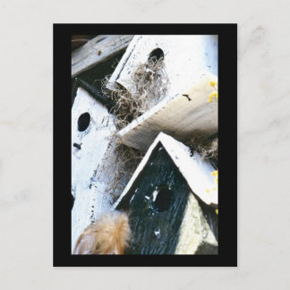 Vogelhäuser Postkarte