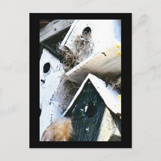 Vogelhäuser Postkarte (Vorderseite)