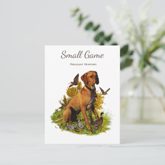 Vogelhund, Fasanenjagd Postkarte (Stehend Vorderseite)