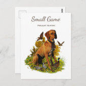 Vogelhund, Fasanenjagd Postkarte (Vorne/Hinten)