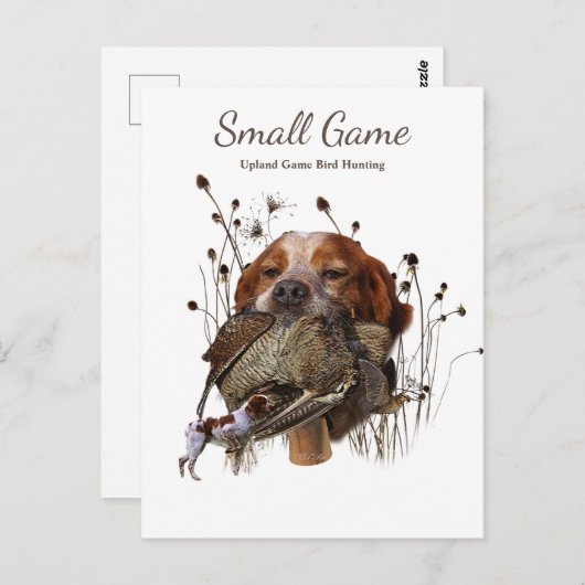 Vogelhund , Vogeljagd in Upland Postkarte (Vorne/Hinten)