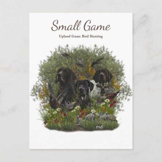 Vogelhund , Vogeljagd in Upland Postkarte (Vorderseite)