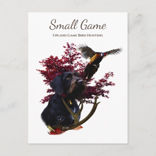 Vogelhund , Vogeljagd in Upland Postkarte (Vorderseite)