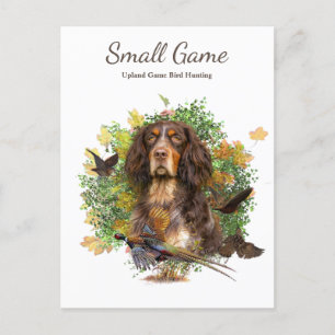 Vogelhund , Vogeljagd in Upland Postkarte
