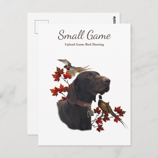 Vogelhund , Vogeljagd in Upland Postkarte (Vorne/Hinten)