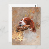 Vogelhund, Waldhundjagd Postkarte (Vorne/Hinten)