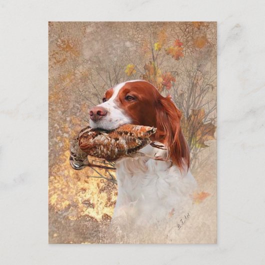 Vogelhund, Waldhundjagd Postkarte (Vorderseite)