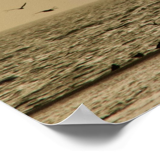 Vogelinsel Poster (Ecke)