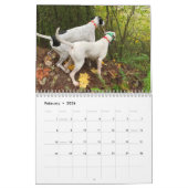 Vogeljagd 2021 Feld der Träume Kalender (Feb 2026)