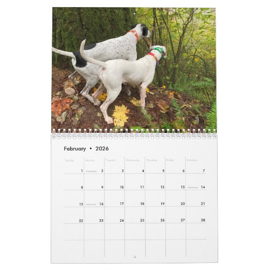 Vogeljagd 2021 Feld der Träume Kalender (Feb 2026)