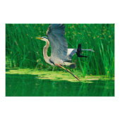 Vogeljagd Fotodruck (Vorne)