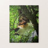 Vogeljäger von Calico Puzzle (Vertikal)