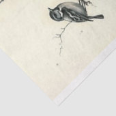 Vogelkäfig Seidenpapier (Ausschnitt)