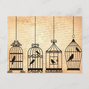 Vogelkäfig-Silhouetten Postkarte