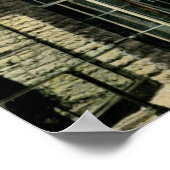 Vogelkäfige in Zoo, Cincinnati, OH Vintag Poster (Ecke)