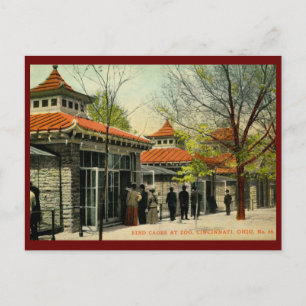 Vogelkäfige in Zoo, Cincinnati, OH Vintag Postkarte